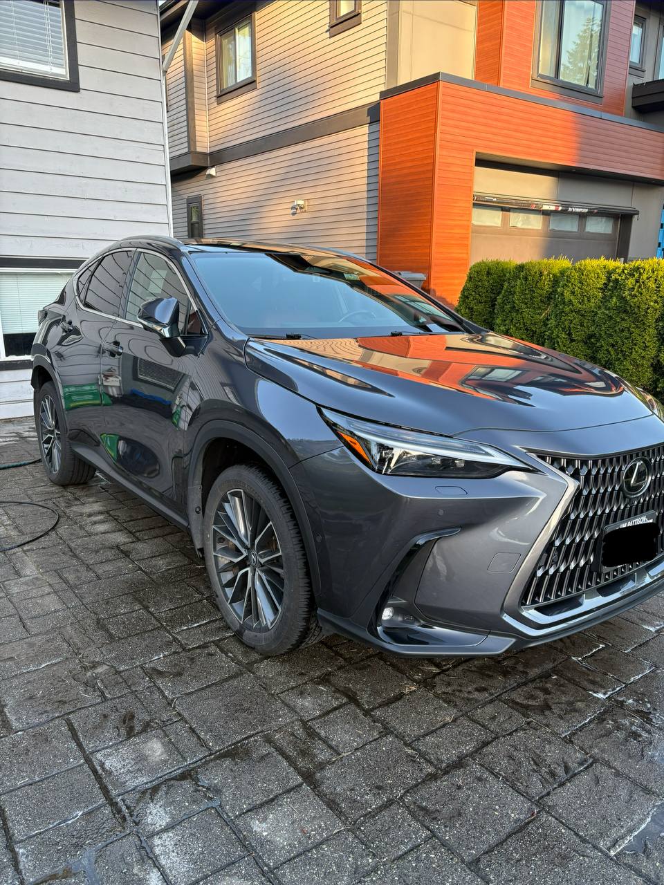Gray Lexus exterior detail example for clay bar treatment